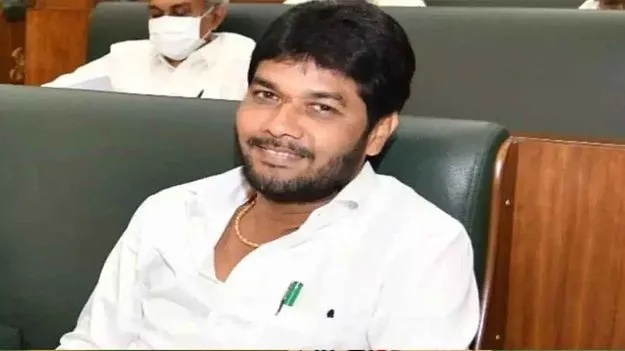 Driver Subrahmanyam Murder: అనంతబాబు డ్రైవర్‌ హత్య కేసులో తదుపరి దర్యాప్తు అవసరం