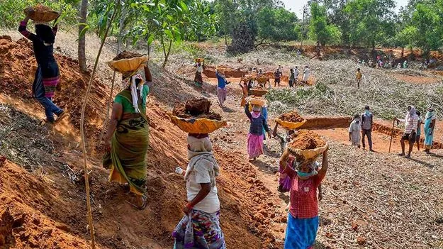 Labour Insurance: 1.20 కోట్ల ఉపాధి కూలీలకు ప్రమాదబీమా