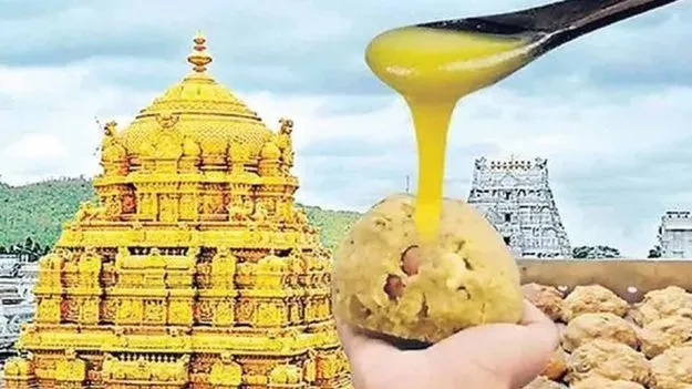 TTD ghee scam: కల్తీ నెయ్యి కేసులో హరిమోహన్‌ బెయిల్‌ పిటిషన్‌ తిరస్కరణ