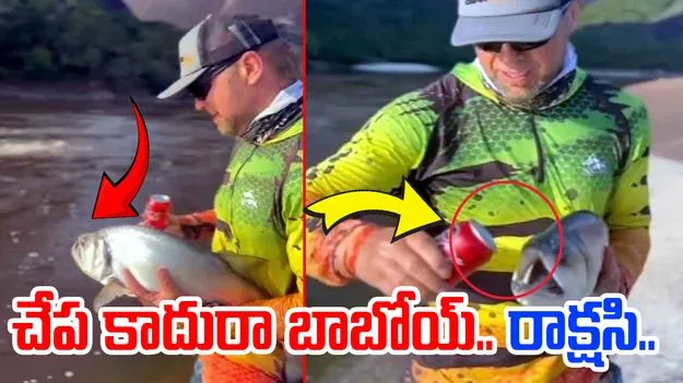 Viral Video: చూడటానికే చేప.. దీని దంతాల పవర్ చూస్తే మతి పోవాల్సిందే..