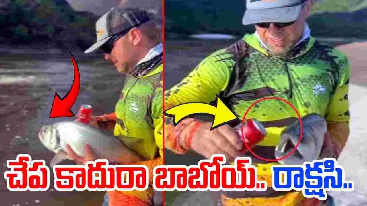 Viral Video: చూడటానికే చేప.. దీని దంతాల పవర్ చూస్తే మతి పోవాల్సిందే.. 