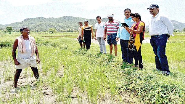 Agriculture : రైతులకు మరిన్ని సేవలు..
