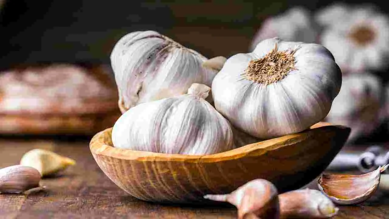 Summer Health Tips: వేసవిలో రోగనిరోధక శక్తి పెరగాలంటే.. ఇవి తినండి చాలు.. 