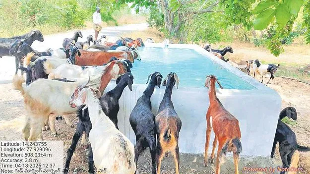 Animal Welfare: మూగజీవాల దాహార్తి తీర్చేందుకు నీటి తొట్టెలు