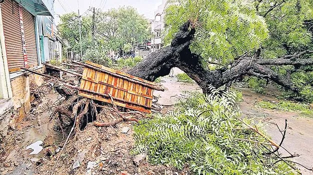 Andhra Pradesh weather: గాలివాన బీభత్సం