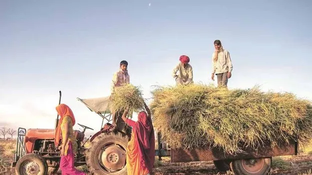 Employment Scheme: ఉపాధి తో వ్యవసాయం