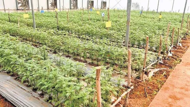 Nellore: కుప్పంలో ఉద్యానశాఖ ఏడీ కార్యాలయం