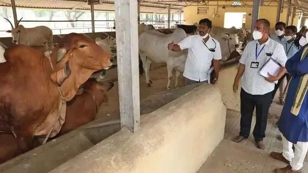 Tirumala: తిరుమలపై మాట్లాడే నైతిక అర్హత వైసీపీకి లేదు