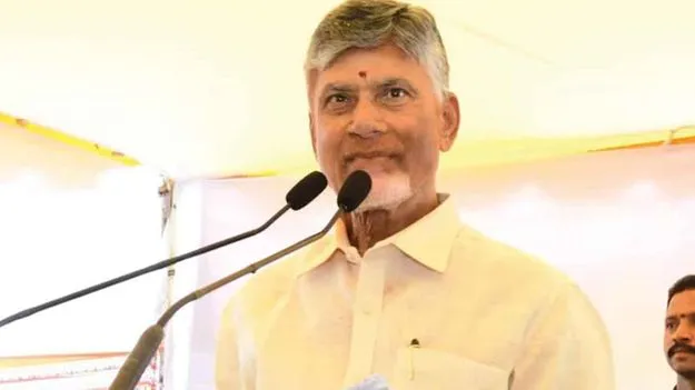 CM Chandrababu Naidu: ఇంధన సంస్థల డైరెక్టర్ అభ్యర్థులతో మాట్లాడతా