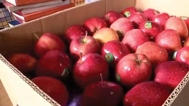 Turkey: బ్యాన్‌ తుర్కియే