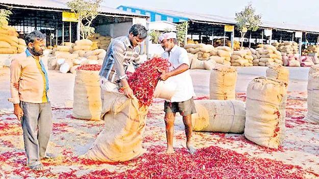Guntur market committee: గుంటూరు మిర్చి యార్డులో అవినీతిపై కొరడా