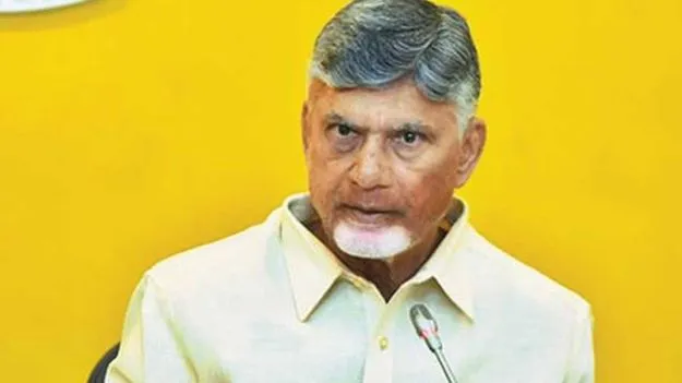Chandrababu Naidu: ఐదేళ్లలో ఉద్యాన సాగు రెట్టింపు