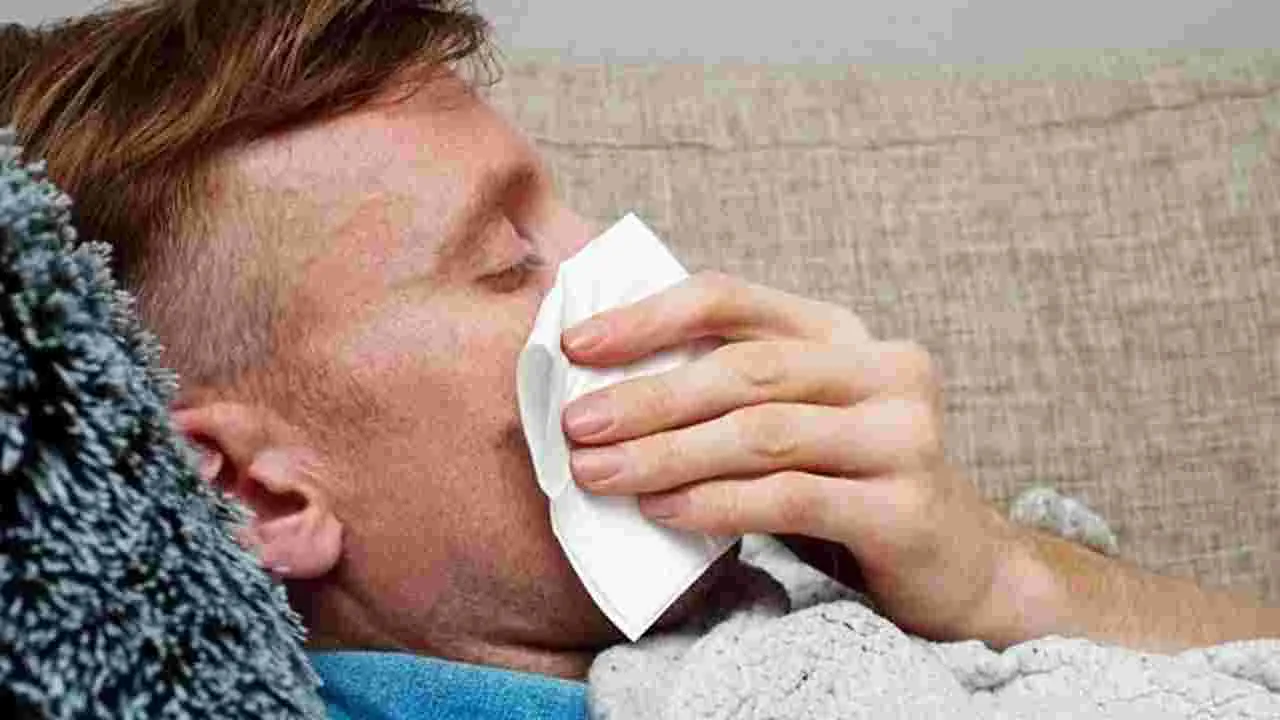 Summer Health Tips: వేసవిలో ముక్కు నుంచి రక్తం కారుతోందా.. అయితే ఇలా చేయండి..