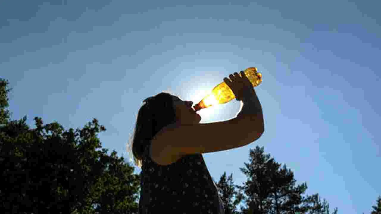 Heat Stroke: మీ శరీరంలో ఈ మార్పులు కనిపిస్తుంటే వడదెబ్బకు గురైనట్లే.. బయటపడేందుకు ఇలా చేయండి..