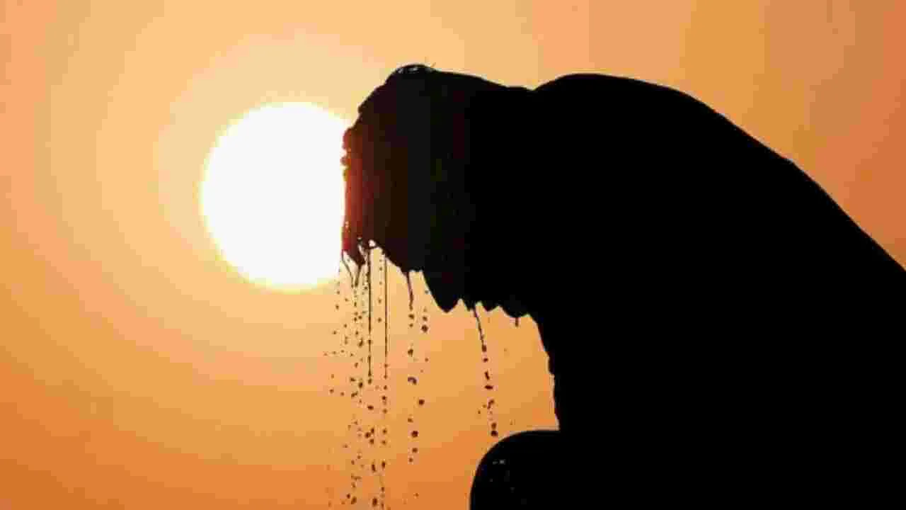 Heat Stroke: మీ శరీరంలో ఈ మార్పులు కనిపిస్తుంటే వడదెబ్బకు గురైనట్లే.. బయటపడేందుకు ఇలా చేయండి..
