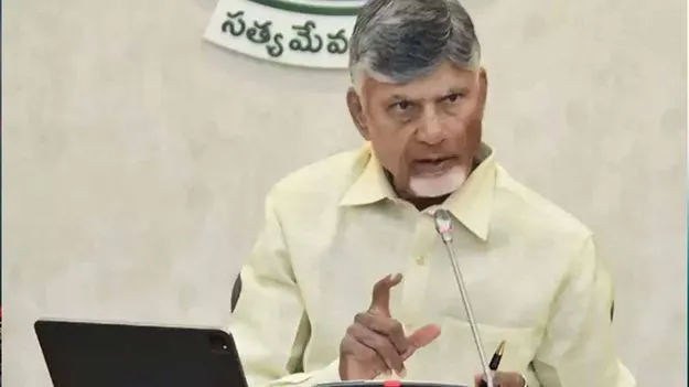 Chandrababu Naidu: డిమాండ్‌కు తగ్గట్టు సాగు 