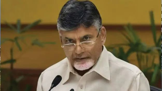 Chandrababu Naidu: వైసీపీ బాధిత కుటుంబాలను ఆదుకుంటాం