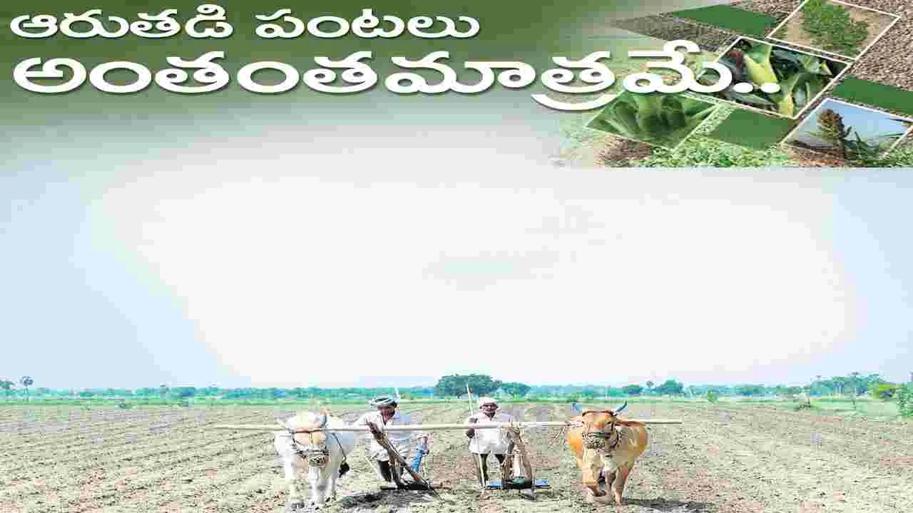ఆరుతడి పంటలు అంతంతమాత్రమే..!