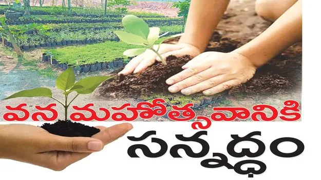  వన మహోత్సవానికి సన్నద్ధం