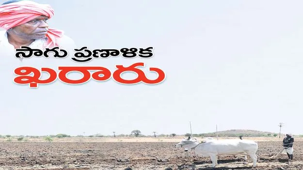 సాగు ప్రణాళిక ఖరారు