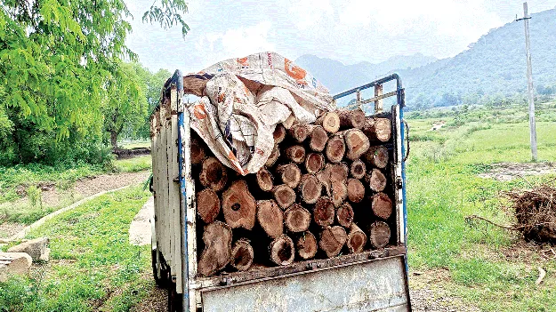 Relocation in Broad Daylight! పట్టపగలే తరలింపు!