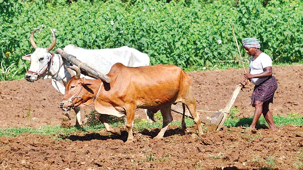 Karif: ఖరీఫ్‌నకు సన్నద్ధం