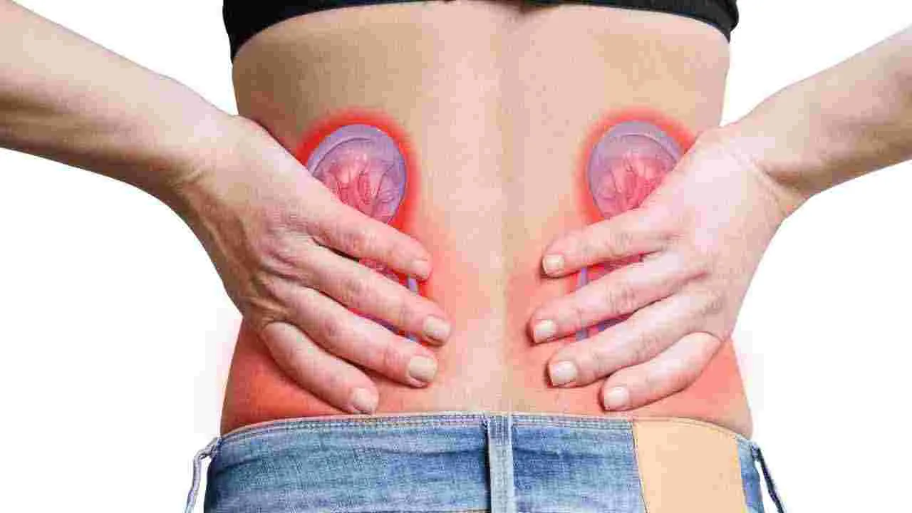 Kidneys Health Tips: కిడ్నీలకు హాని కలిగించే 6 అలవాట్లు ఇవే..