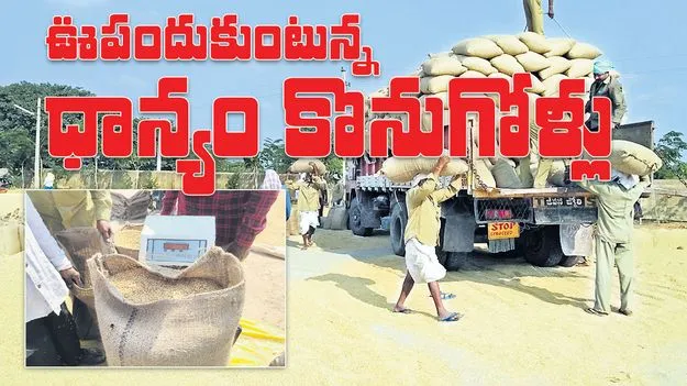 ఊపందుకుంటున్న ధాన్యం కొనుగోళ్లు