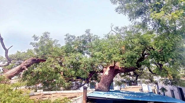 జిల్లాలో వాన బీభత్సం 