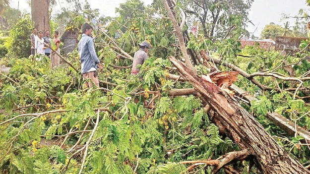  Galivaana గాలీవాన బీభత్సం