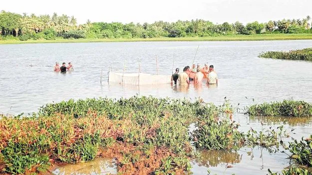 రుచి అమోఘం