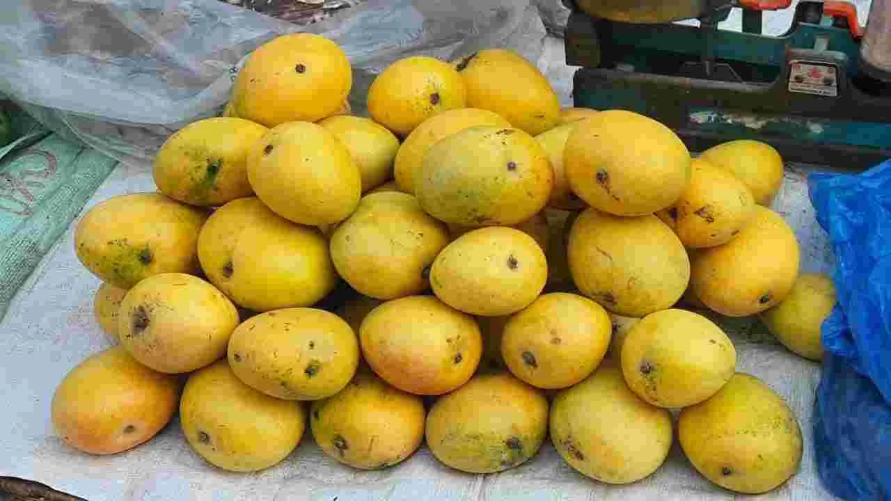 Anantapur: మామిడి మాటున విషం.. ఈ పండ్లను తింటే..
