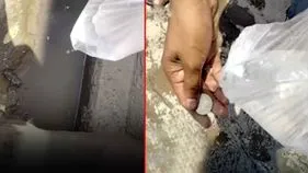 Viral Video: టెక్నిక్ మామూలుగా లేదుగా.. కాలువలో పడిపోయిన డబ్బులను ఎలా తీశాడో చూడండి.. 