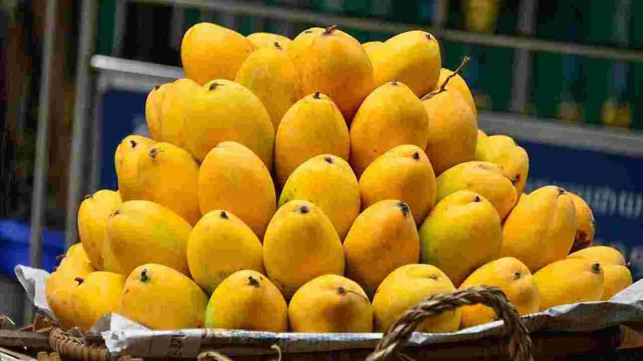 Mango: మామిడి పండు కొనేముందు.. తీయగా ఉందో లేదో ఇలా తెలుసుకోండి..
