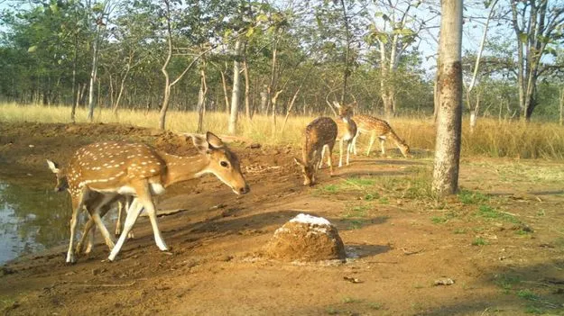 జీవకోటికి బతుకు భయం
