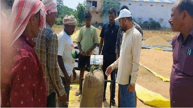 ఊపందుకున్న ధాన్యం కొనుగోళ్లు...