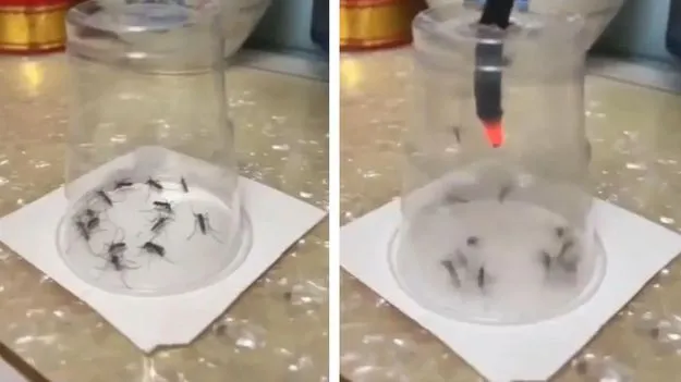 Shocking Video: వామ్మో.. దోమలపై ఎలా ప్రతీకారం తీర్చుకున్నాడో చూశారా.. వీడియో వైరల్