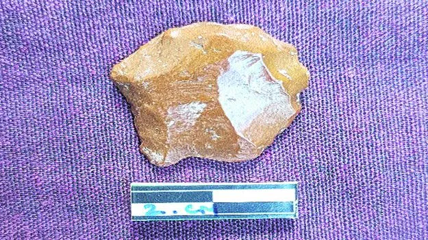 Chennai: 8 వేల ఏళ్లనాటి రాతి పనిముట్లు లభ్యం