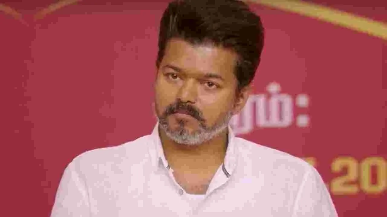 Vijay: హీరో విజయ్ అంతమాట అనేశారేంటో.. ఆయన ఏమన్నారో తెలిస్తే.. 