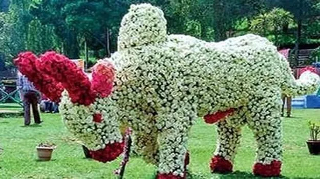 Chennai: 24నుంచి కొడైకెనాల్లో 62వ పుష్ప ప్రదర్శన