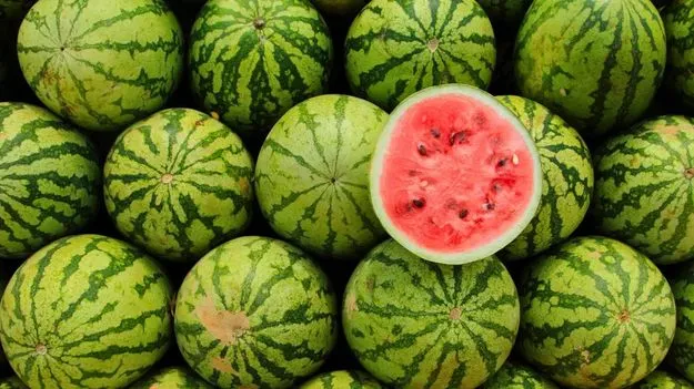 Watermelon: పుచ్చకాయల్లో ఎలాంటి రసాయనాలు కలపడం లేదు