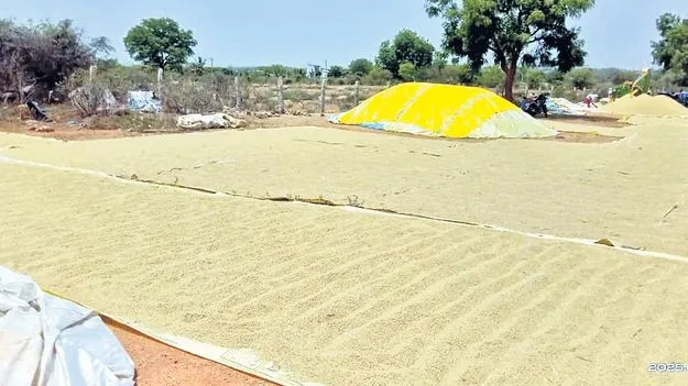 కొనుగోళ్లు ప్రారంభమయ్యేది ఎప్పుడో.?