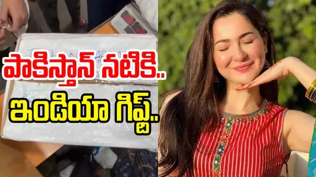 Viral News: పాకిస్తాన్ నటికి భారత అభిమాని గిఫ్ట్.. వీడియో వైరల్..
