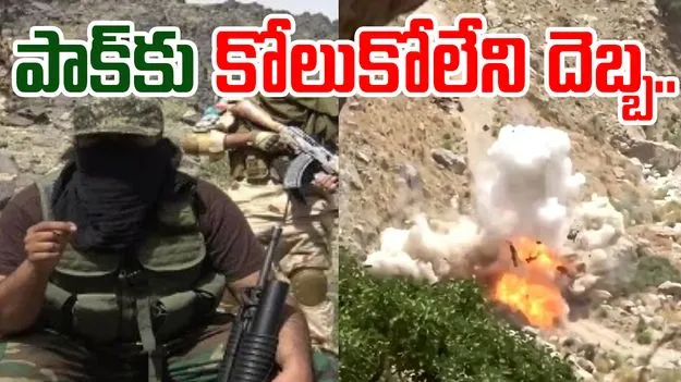BLA Attack: బీఎల్‌ఏ మెరుపు దాడులు.. పాక్ ఉక్కిరిబిక్కిరి