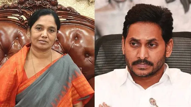 Sunitha Comments On Jagan: రాప్తాడుకు జగన్.. పరిటాల సునీత ఏమన్నారంటే