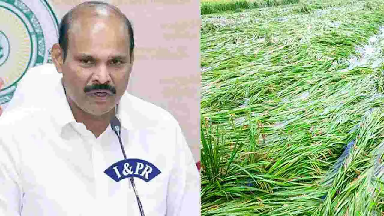 Parthasarathy On Unseasonal Rains: అకాల వర్షాలు, పంట నష్టంపై మంత్రి పార్థసారథి ఏమన్నారంటే