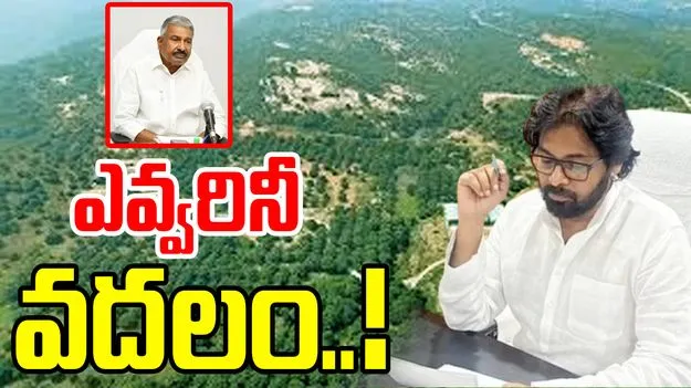 Pawan Kalyan: పెద్దిరెడ్డి ఫ్యామిలీపై చర్యలకు రంగం సిద్ధం