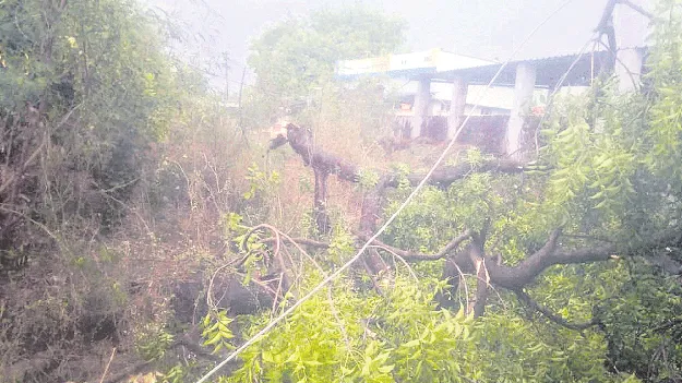 ఇటు భగభగలు.. అటు వడగండ్లు