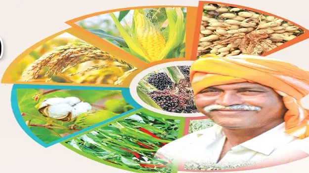 సాగు ప్రణాళిక ఖరారు