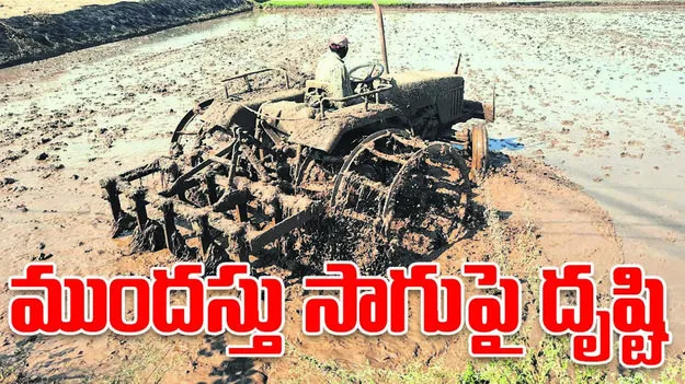 peddapally :  ప్రభుత్వ భూములకు రక్షణ కరువు